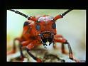 2011_12_London (112)